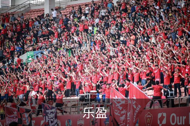 乐盈公司简介图片