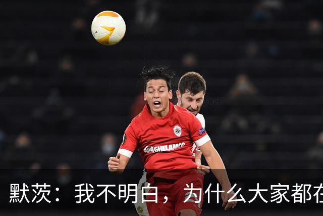 默茨：我不明白，为什么大家都在谈论着选择党围困东德？
